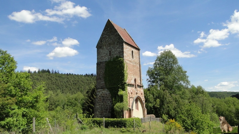 Ritterstein Nr. 137-7 Kath. dann Luth. Kirche 12.-18. Jh..JPG - Ritterstein Nr.137  Kath. dann Luth. Kirche 12.-18. Jh.                                